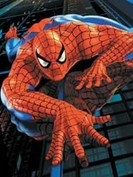 pic for spiderman