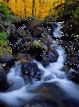 pic for streamlet