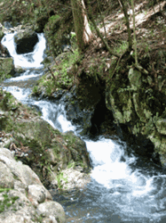 pic for streamlet