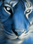 pic for tiger