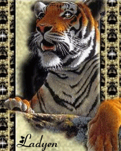 pic for tiger