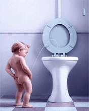 pic for toilet