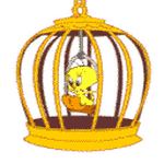 pic for twiti