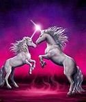 pic for unicorns