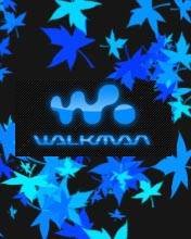 pic for walkmanblueleaves