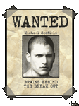 pic for wanted