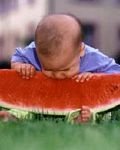 pic for watermelon