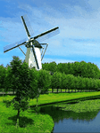 pic for windmill