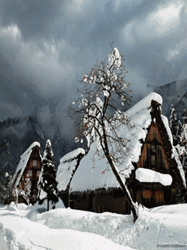pic for winter