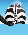 pic for zebra